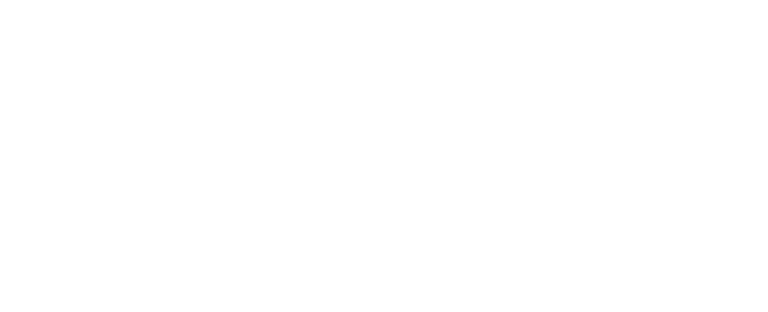 New Zealand Growers — Building from zero: Optimizing B2B global onion exports for New Zealand Growers.